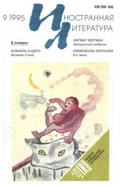 Эмманюэль Бернхайм Его жена обложка книги