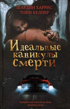 Дэниел Сташовер Тем временем где-то далеко за Каспийским морем… обложка книги