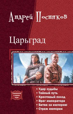 Андрей Посняков Царьград. Гексалогия обложка книги