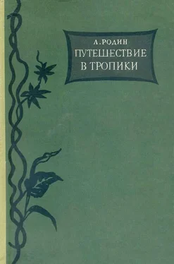 Леонид Родин Путешествие в тропики обложка книги