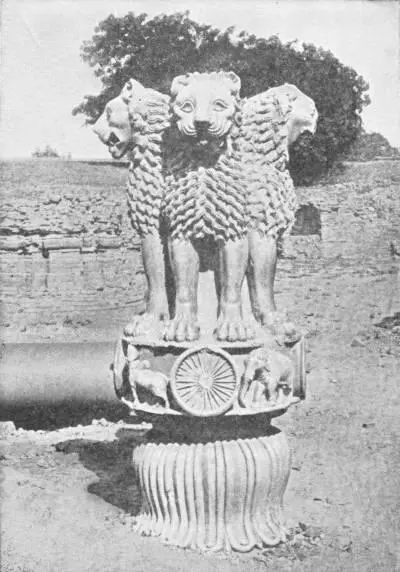 THE PILLAR OF LIONS Capital of the Pillar column lying on side erected in - фото 102