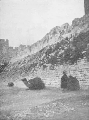 DAVIDS TOWER AND WALL OF JERUSALEM Photo Fannaway And when he was gone - фото 126