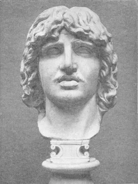 HEAD OF BARBARIAN CHIEF In the British Museum Numbers of fugitives from - фото 133