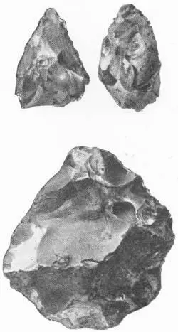 FLINT IMPLEMENTS FOUND IN PILTDOWN REGION Nat Hist Mus It is not until - фото 29