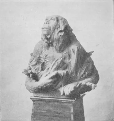 A THEORETICAL RESTORATION OF THE PITHECANTHROPUS ERECTUS BY PROF RUTOT This - фото 30