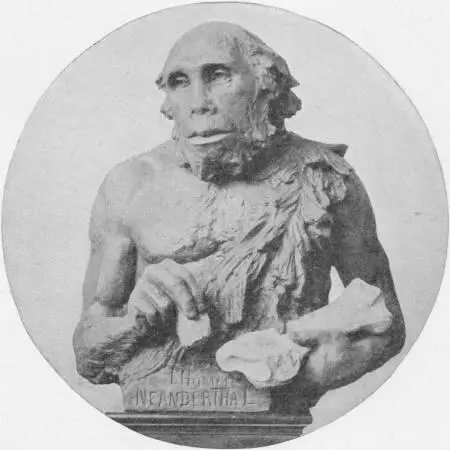 THE NEANDERTHALER ACCORDING TO PROF RUTOT At that time the climate and - фото 33