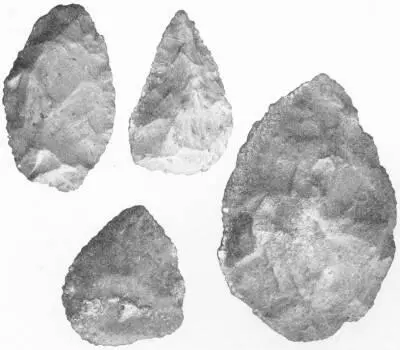 RELICS OF THE STONE AGE Chert implements from Somaliland In general form - фото 40