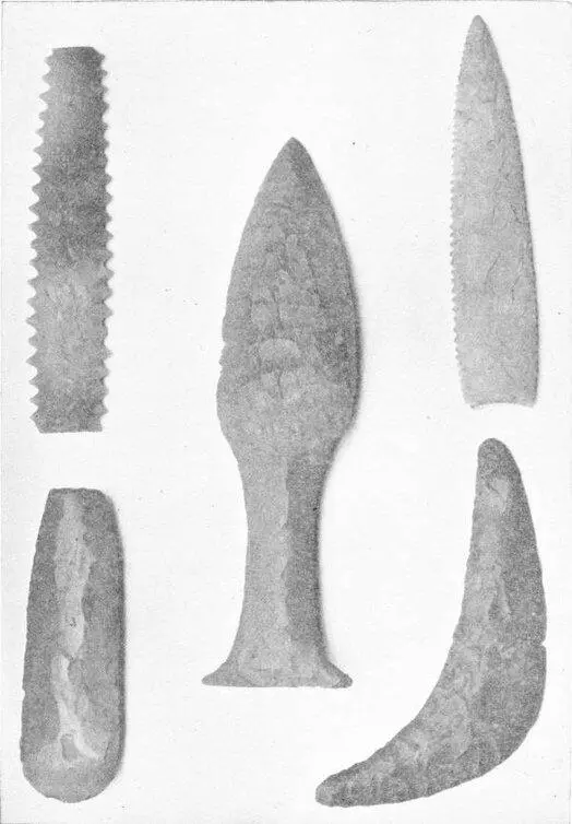 NEOLITHIC FLINT IMPLEMENTS Brit Mus At first primitive men with only a - фото 42