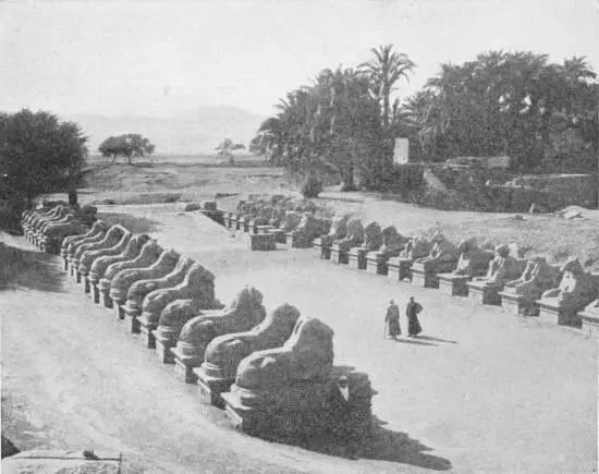 AVENUE OF SPHINXES Leading from the Nile to the great Temple of Karnak - фото 63