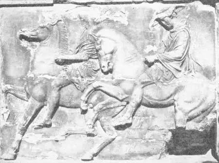 PART OF THE FAMOUS FRIEZE OF THE PARTHENON ATHENS A specimen of Grecian - фото 85