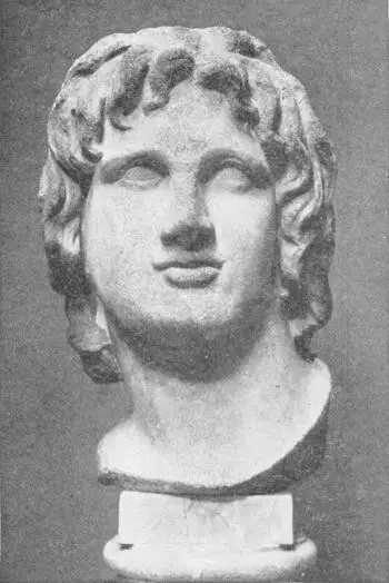 BUST OF ALEXANDER THE GREAT As in the British Museum But Philip had - фото 90