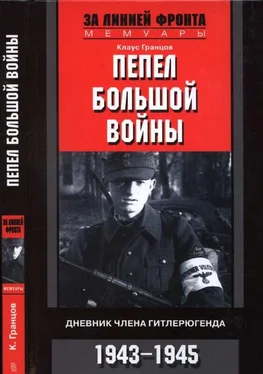 Клаус Гранцов Пепел большой войны Дневник члена гитлерюгенда, 1943-1945 обложка книги