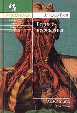 Аласдер Грей Бедные-несчастные обложка книги