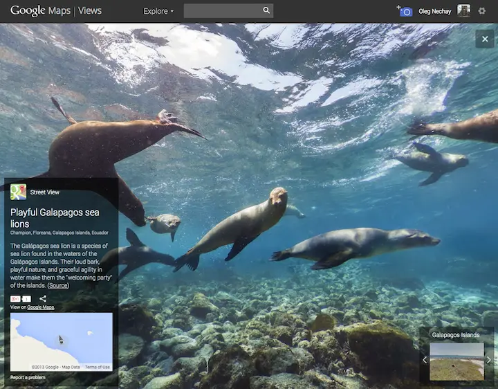 Благодаря Google Street View вы сможете поплавать с игривыми морскими львами - фото 50