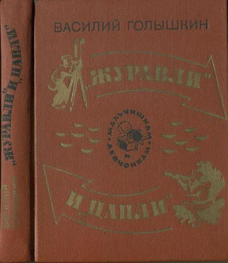 Василий Голышкин «Журавли» и «цапли». Повести и рассказы обложка книги