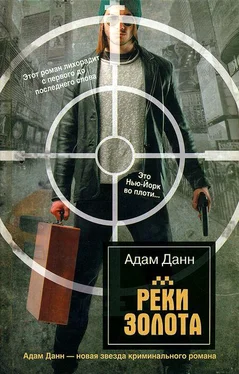 Адам Данн Реки золота обложка книги