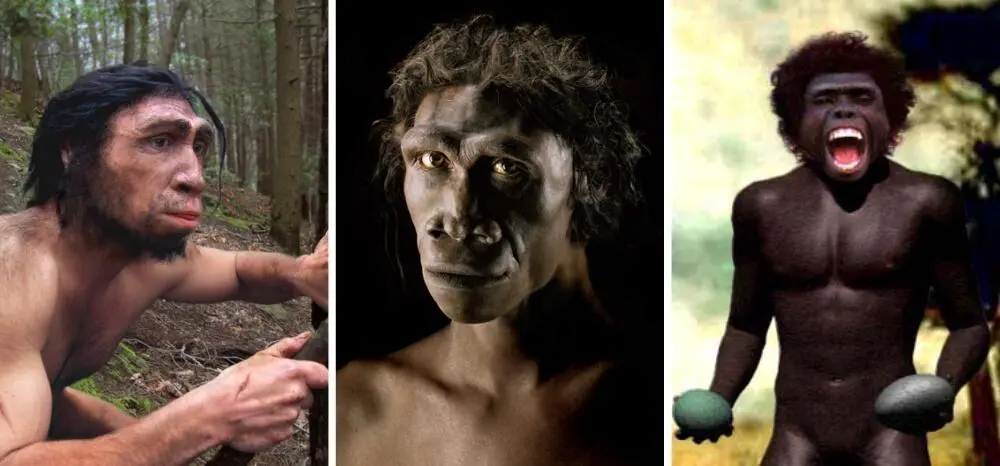 Три реконструкции Homo erectus Источники первой второй третьей На какой - фото 25