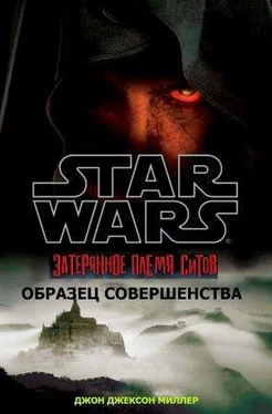 Джон Миллер Совершенство [Образец совершенства] обложка книги