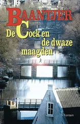 Albert Baantjer - De Cock en de dwaze maagden
