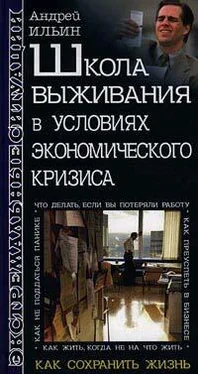 Андрей Ильин Школа выживания в условиях экономического кризиса обложка книги