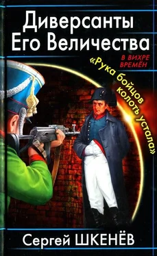 Сергей Шкенёв Диверсанты Его Величества. «Рука бойцов колоть устала...» обложка книги