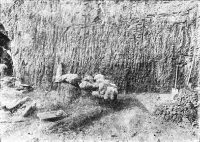 Рис 112 Одно из добытых раскопками стяжений заключающее скелет - фото 114