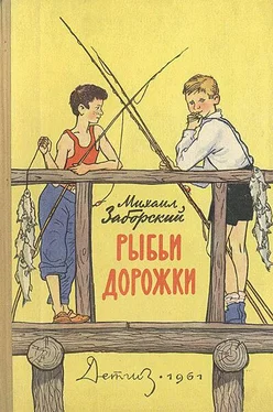 Михаил Заборский Рыбьи дорожки обложка книги