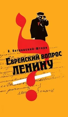 Йоханан Петровский-Штерн Еврейский вопрос Ленину обложка книги