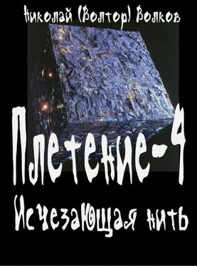 Николай Волков Исчезающая нить обложка книги