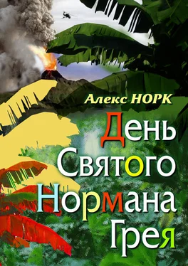 Алекс Норк День святого Нормана Грея обложка книги