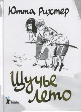 Ютта Рихтер Щучье лето обложка книги