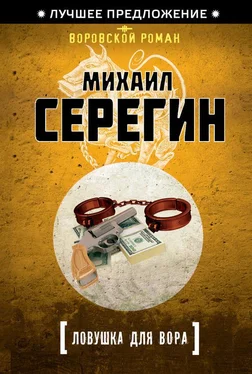 Михаил Серегин Ловушка для вора обложка книги