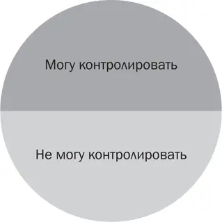 Рис 22 Области контроля Помните что когда вы зажаты в тисках стресса - фото 21