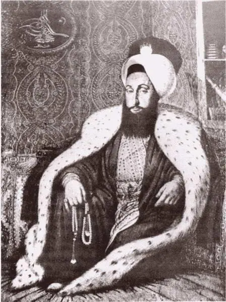 Султан Селим III К Капидаглы 18031804 гг Штурм Измаила 11 декабря 1790 - фото 39