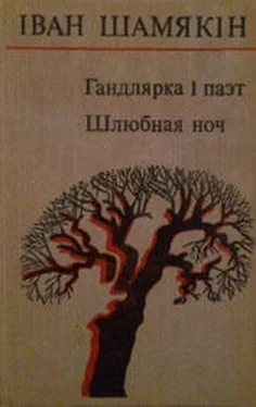 Іван Шамякін Гандлярка і паэт обложка книги