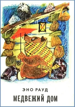 Эно Рауд Медвежий дом обложка книги