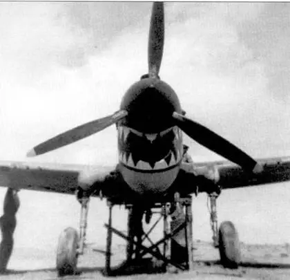 Акулья пасть на Kittyhawk из 112й эскадрильи вид спереди Летный - фото 102