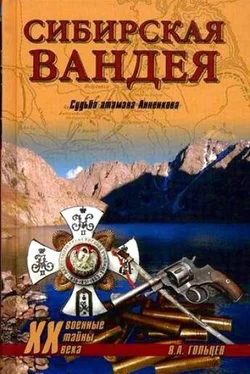 Вадим Гольцев Сибирская Вандея. Судьба атамана Анненкова обложка книги