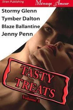 Stormy Glenn Tasty Treats, Volume 3 обложка книги