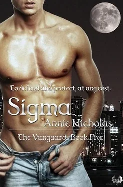 Annie Nicholas Sigma обложка книги