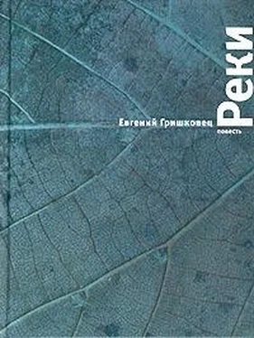 Евгений Гришковец Реки обложка книги