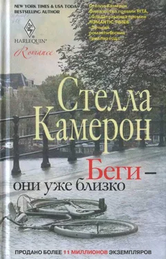 Стелла Камерон Беги — они уже близко обложка книги