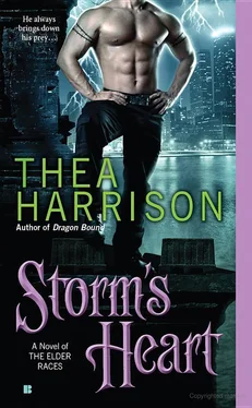 Thea Harrison Storm's Heart обложка книги