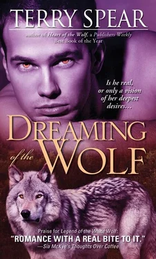 Terry Spear Dreaming of the Wolf обложка книги