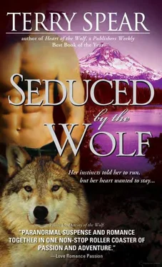 Terry Spear Seduced by the Wolf обложка книги