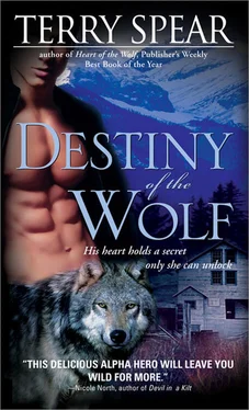 Terry Spear Destiny of the Wolf обложка книги