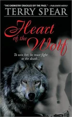 Terry Spear - Heart of the Wolf
