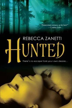 Rebecca Zanetti Hunted обложка книги