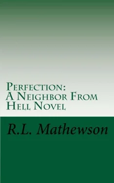 R. Mathewson Perfection обложка книги