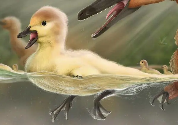 Птенцы Austroraptor На первый взгляд кажется что эта художественная работа - фото 79